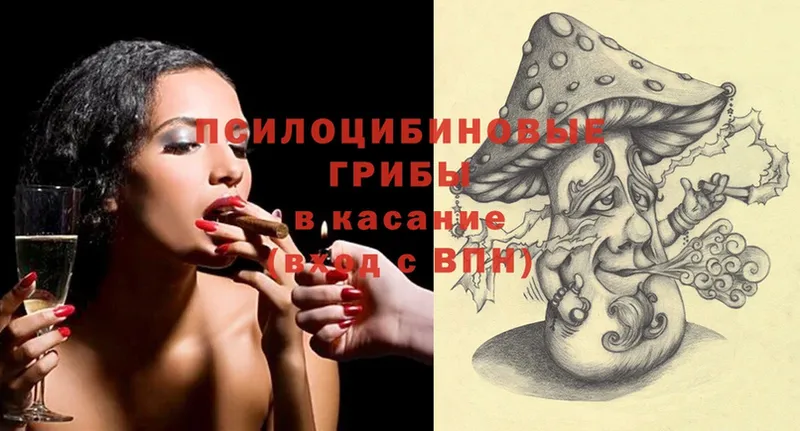 купить   Рассказово  Псилоцибиновые грибы Psilocybine cubensis 